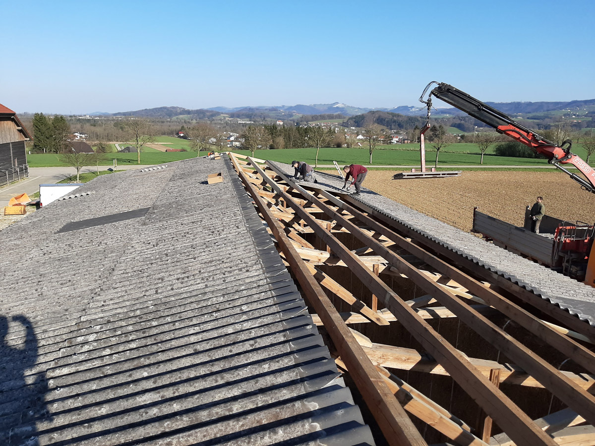 Halle 1 Dacheindeckung