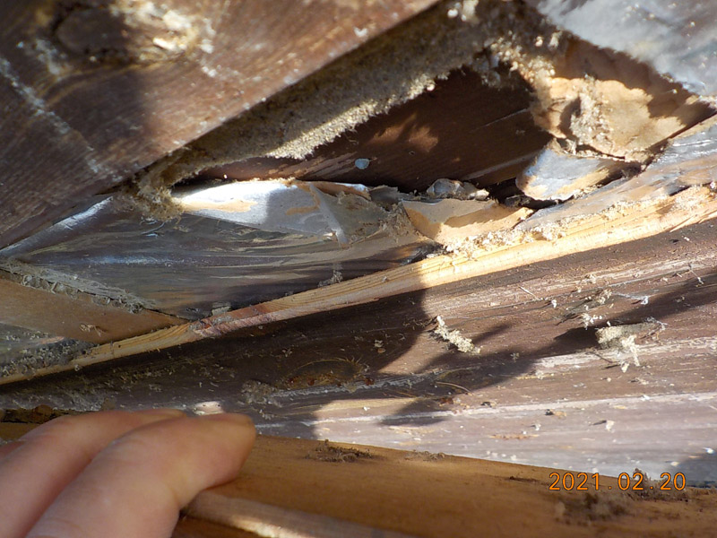 Projekt Amabile Foto01