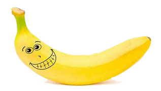 Projekt Bananenente Foto 01 Kopie